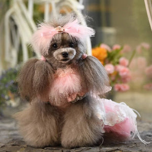 Poodle wearing "Sophia" Dog Party Dress.