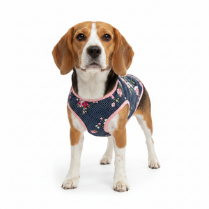 Beagle wearing floral blossom puffer coat 