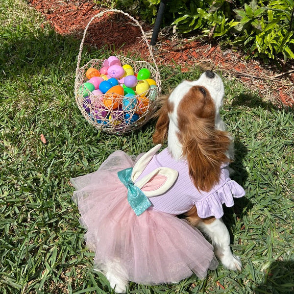 pink dog tutu dress Easter & Purple Bunny Ears Birthday parties BUCKLE STYLE:Silver Toned Rectangle Buckle halloween-2023 3-Piece Christmas Set for