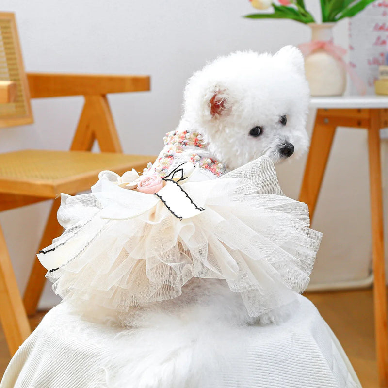 Dog dress with floral embellishments on a wooden stand against a neutral background