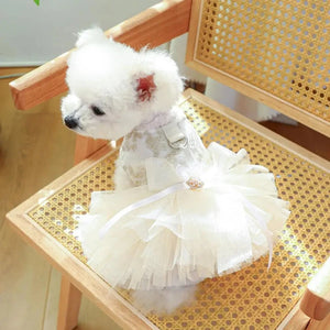 Fancy Bridal Dog Dress on Bichon Frise