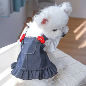 Bichon wearing Floral Denim Overalls Dog Dress 