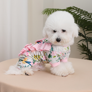 Bichon Frise wearing Floral Dog Romper