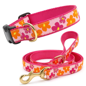 Dog collar and leash set with floral pattern on a white background