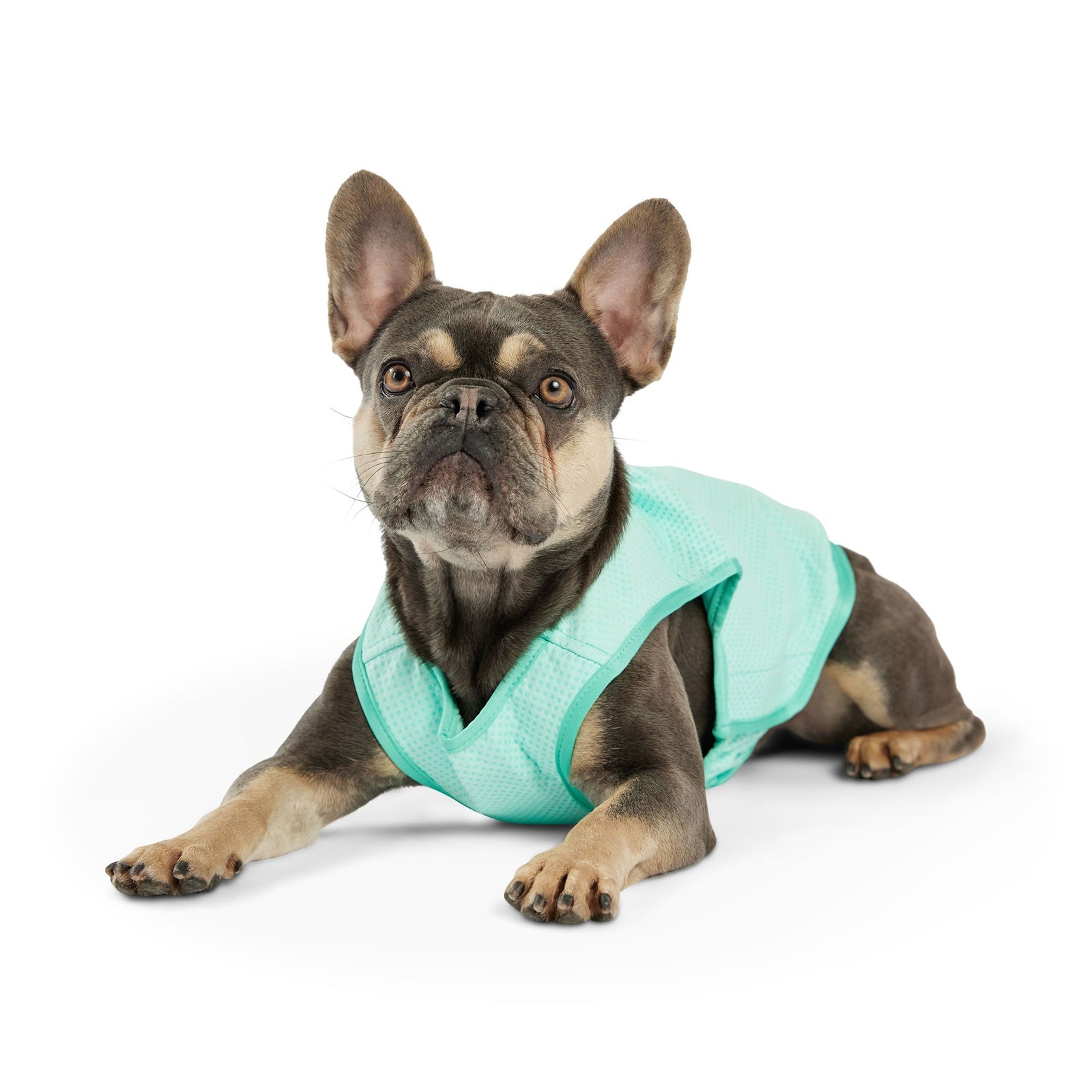 Elasto-Fit Ice Vest Dog Cooling - Aqua