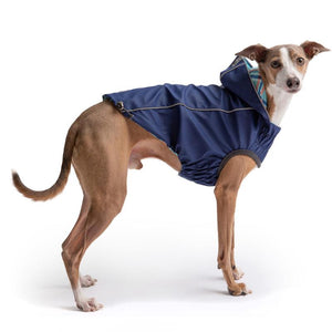 Italian Greyhound in Reversible Elasto-Fit Raincoat - Navy Plaid