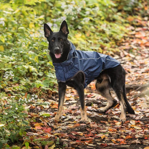 German Shepherd in Reversible Elasto-Fit Raincoat - Navy Plaid