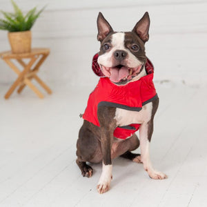 Boxer in Red Plaid Reversible Elasto-Fit Dog Raincoat