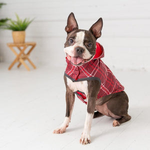 Boxer in Red Plaid Reversible Elasto-Fit Dog Raincoat