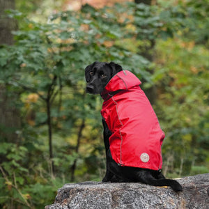 Labrador in Red Reversible Elasto-Fit Dog Raincoat