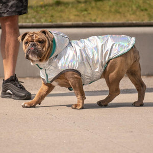 Bulldog in Reversible Dog Raincoat - Neon Aqua with Iridescent