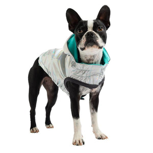 Boxer in Reversible Dog Raincoat - Neon Aqua with Iridescent