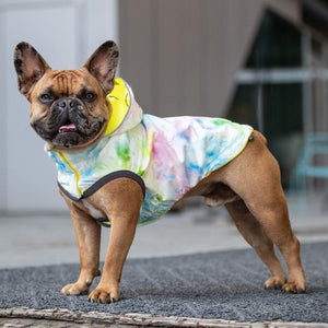 French Bulldog in Reversible Dog Raincoat - Neon Yellow Tie Dye