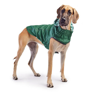 Great Dane wearing Reversible Elasto-Fit Dog Raincoat - Cactus Green