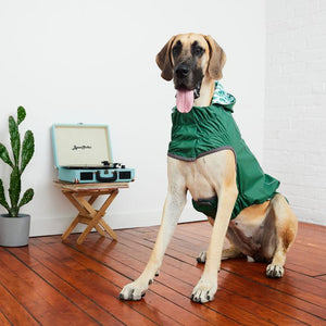 Great Dane wearing Reversible Elasto-Fit Dog Raincoat - Cactus Green