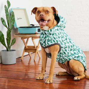 Pitbull wearing Reversible Elasto-Fit Dog Raincoat - Cactus Green