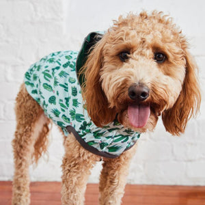 Labradoodle in Reversible Elasto-Fit Dog Raincoat - Cactus Green