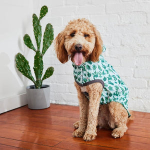 Reversible Elasto-Fit Dog Raincoat - Cactus Green