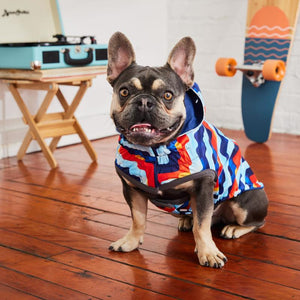 French Bulldog in Reversible Elasto-Fit Raincoat - Navy/Navy