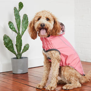 Labradoodle in Reversible Elasto-Fit Raincoat - Pink/Mexican