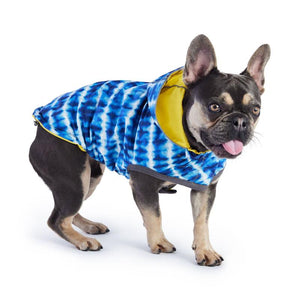 French Bulldog in Reversible Elasto-Fit Dog Raincoat - Yellow/Blue Tie Dye