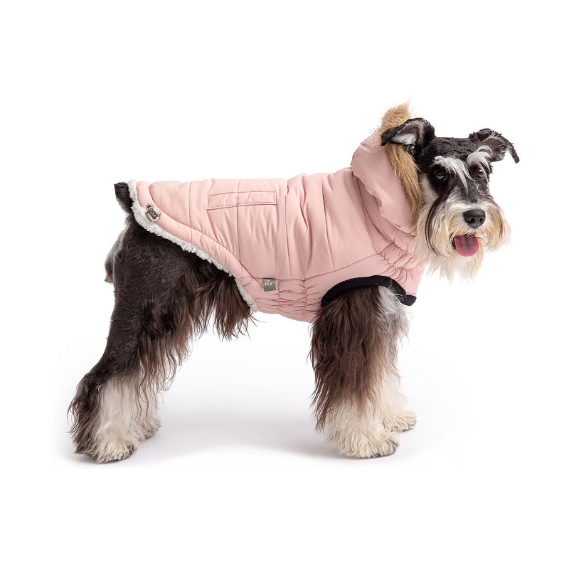 Schnauzer wearing  Pink urban dog parka