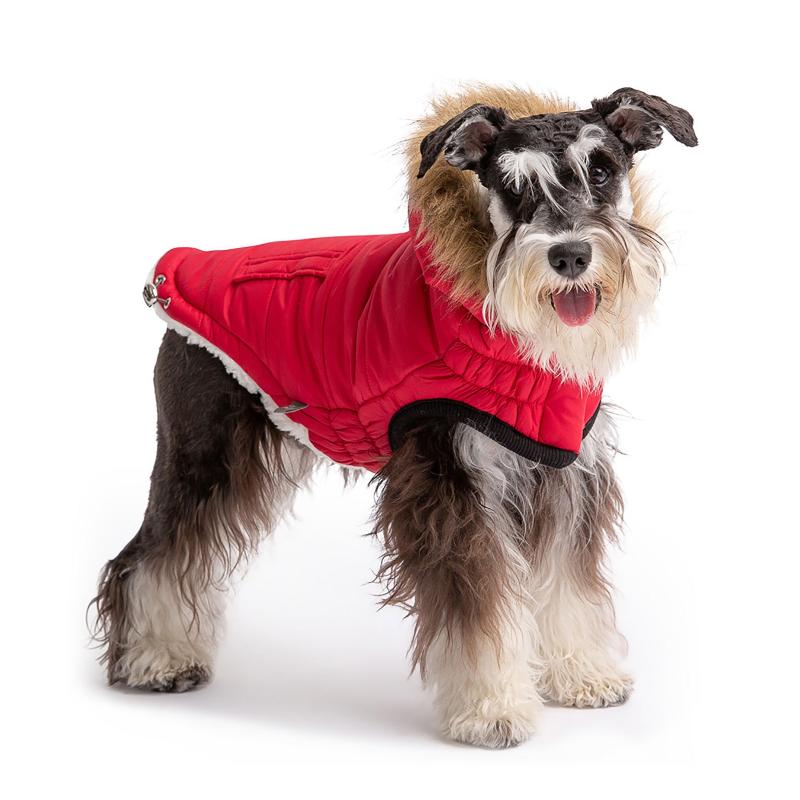 Urban Dog Parka - Red