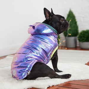 Pug wearing Recycled Parka - Iridescent Purple