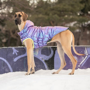 Great dane in Recycled Parka - Iridescent Purple