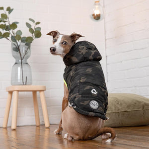 Greyhound in Camo Recycled Dog Parka