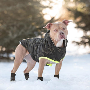 Pitbull wearing Recycled Dog Parka - Camouflage