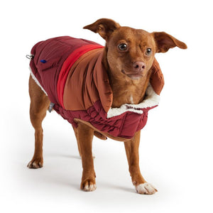 Retro Puffer - Dark Red on Dachschund