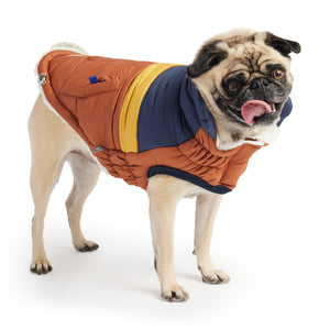 Pug in Retro Puffer - Hazel