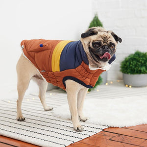 Pug in Retro Puffer - Hazel