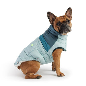 French Bulldog in Retro Puffer Dog Coat - Light Blue