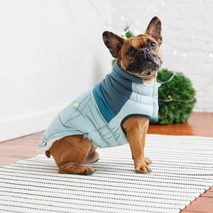 French Bulldog wearing Retro Puffer Dog Coat - Light Blue