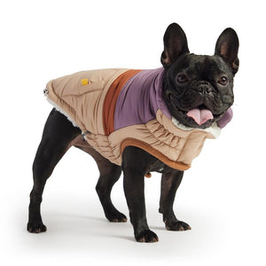 Retro Puffer - Sand French Bulldog