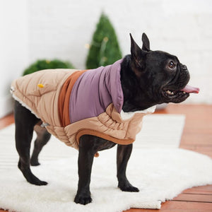 Retro Puffer - Sand French Bulldog