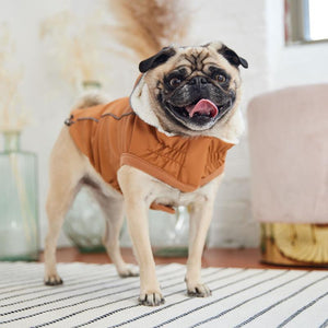 Pug in Insulated Dog Raincoat - Hazel