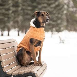 Big dog in Insulated Dog Raincoat - Hazel