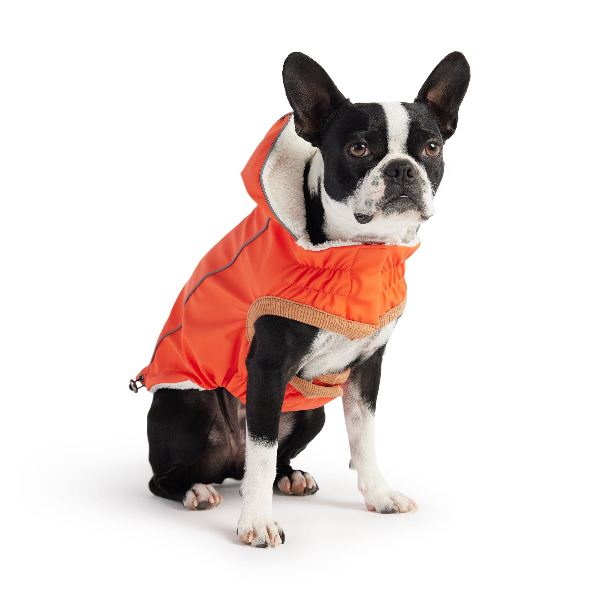 Insulated Dog Raincoat - Orange