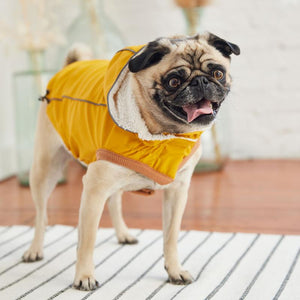 Pug in Insulated Dog Raincoat - Yellow