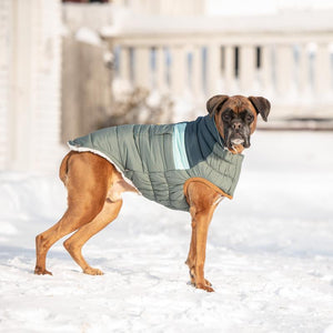 Boxer wearing Camplife Puffer - Sage