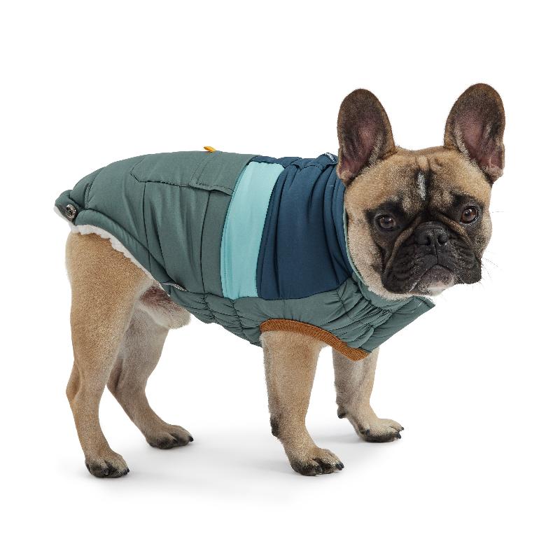 French Bulldog wearing Sage Camplife Puffer 