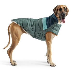 Great Dane in Camplife Puffer