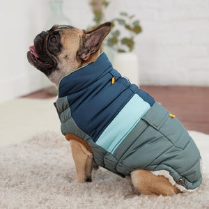 French Bullodog in Camplife Puffer - Sage