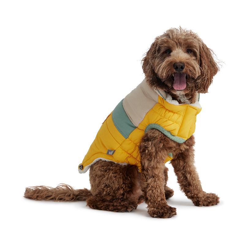 Labradoodle wearin Camplife Puffer - Yellow