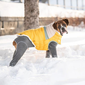 Boxer in Camplife Puffer - Yellow