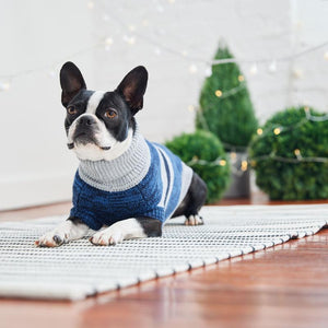 Boxer in Blue Trekking Dog Sweater