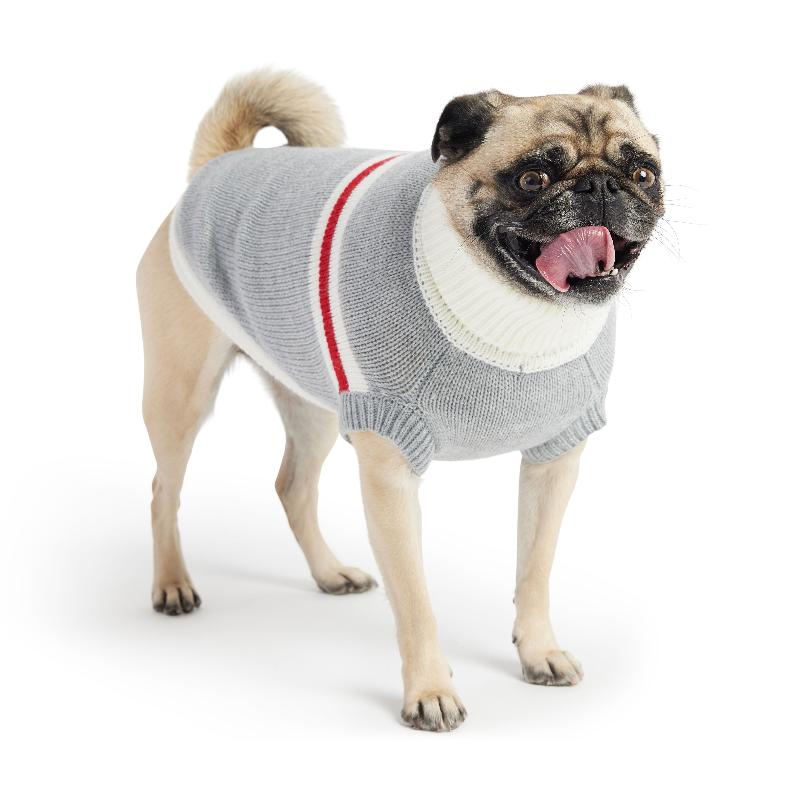 French Bulldog in Grey Trekking Dog Sweater